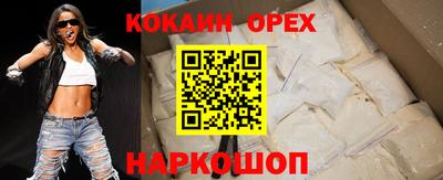 прущие грибы Сланцы