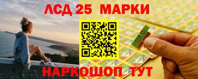 прущие грибы Сланцы