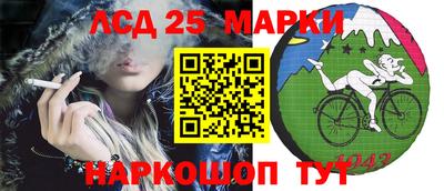 прущие грибы Сланцы